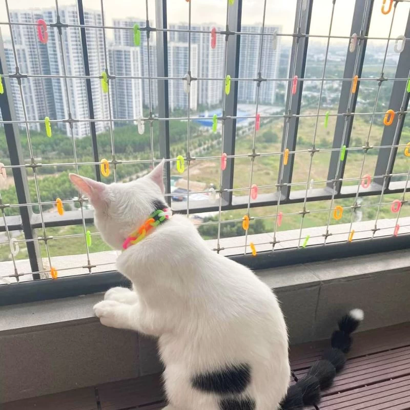 cáp an toàn chống thú cưng